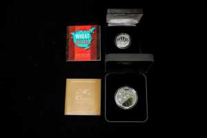 Two silver 0.999 proof coins, totalling 27.21 grams - 6