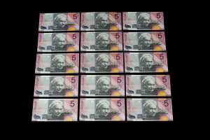 Fifteen polymer $5 banknotes, including consecutive serial numbers