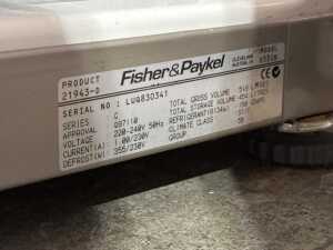 Fisher & Paykel E522B 519L fridge freezer - 5