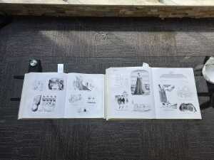 Two cartoon coffee table books - 3