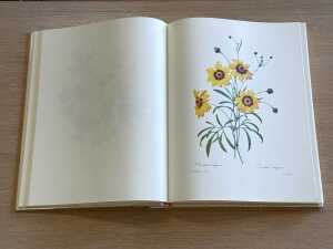 The Most Beautiful Flowers by Pierre Joseph Redoute - 2