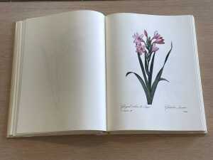 The Most Beautiful Flowers by Pierre Joseph Redoute - 3