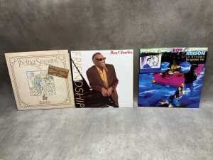 Ten mostly Rock 'n' Roll vinyl records, including Little Richard and Chuck Berry - 2