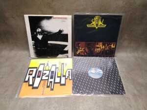Twelve 12" vinyl singles, including Bengal Tigers - 4
