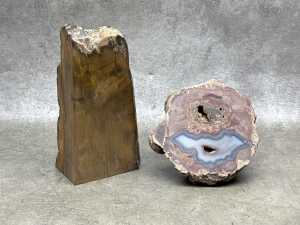 Three specimens, including a coprolite and petrified wood - 2