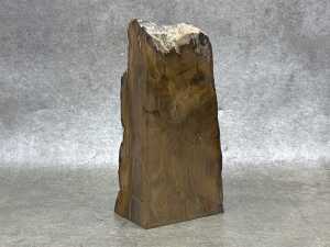 Three specimens, including a coprolite and petrified wood - 3