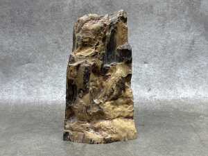 Three specimens, including a coprolite and petrified wood - 4