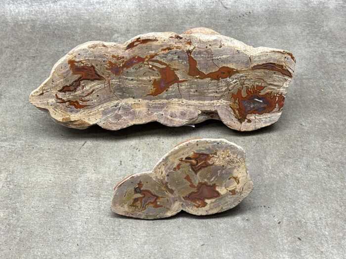 Two polished thunderegg specimen slabs