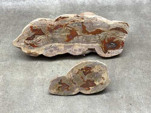 Two polished thunderegg specimen slabs