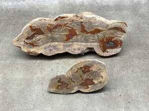 Two polished thunderegg specimen slabs