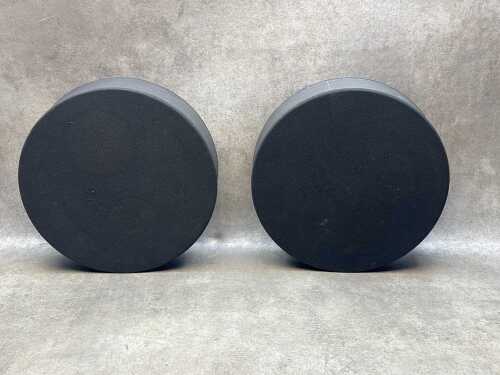 A pair of Jim Rogers Phobos Tambourine speakers