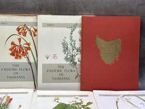The Endemic Flora of Tasmania six volume book set - 2