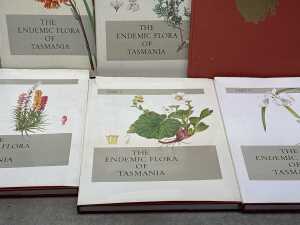 The Endemic Flora of Tasmania six volume book set - 3