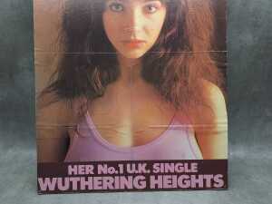 Kate Bush's 'The Kick Inside' album poster mounted on masonite - 3