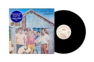 Five Australian Pop and Rock vinyl records - 2