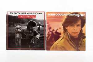 Eight Blues, Heartland and Americana vinyl records - 4