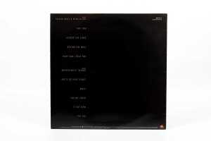 Tracy Chapman 'Tracy Chapman' vinyl record - 4