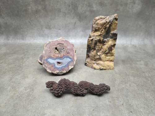 Three specimens, including a coprolite and petrified wood