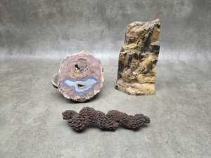 Three specimens, including a coprolite and petrified wood