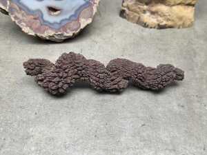 Three specimens, including a coprolite and petrified wood - 7