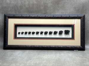 'The Migration, twelve graduated carved timber elephants in shadow box