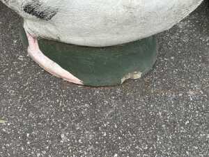 Pair of painted pelican garden planters - 4