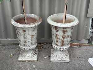 Pair of potted plants - 2