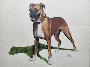 Artist unknown, Boxer, 1967. Oil painting on paper - 2