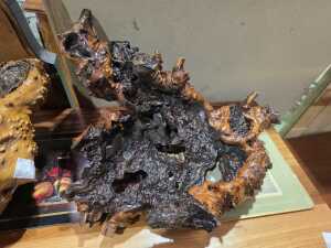 Three lacquered Mulga wood sculptural forms - 4