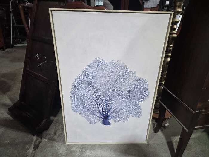 Framed botanical print