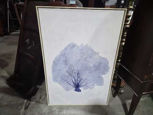Framed botanical print