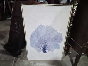 Framed botanical print