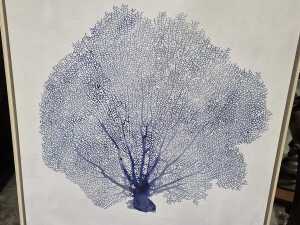 Framed botanical print - 2