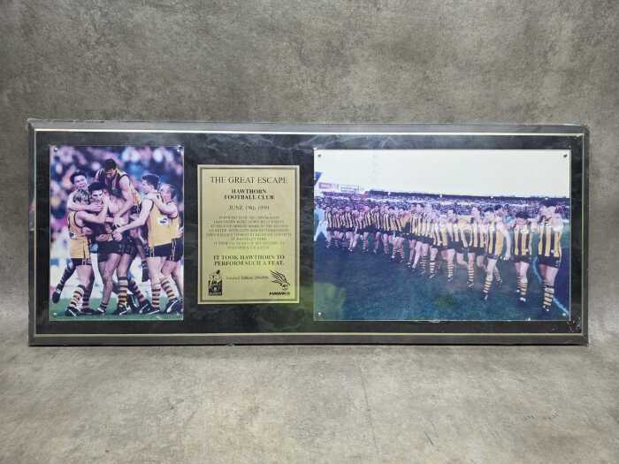Hawthorn Football Club 'The Great Escape' memorabilia plaque, 290/999
