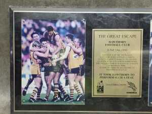 Hawthorn Football Club 'The Great Escape' memorabilia plaque, 290/999 - 2