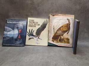 Bird reference books - 2
