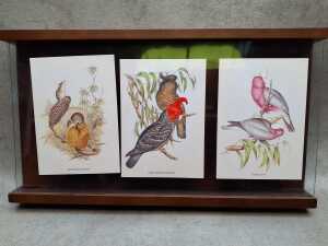 Three bird figiure including Owl on base - 2