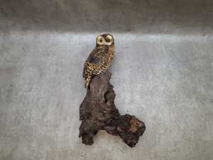 Three bird figiure including Owl on base - 5