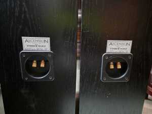 Pair of Ascension Timber Wolf floor speakers - 4
