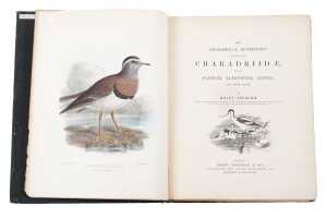 The Geographical Distrubution of the Family Charadriidae book by Henry Seebohm prinyed in 1888 - 3