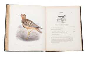 The Geographical Distrubution of the Family Charadriidae book by Henry Seebohm prinyed in 1888 - 5