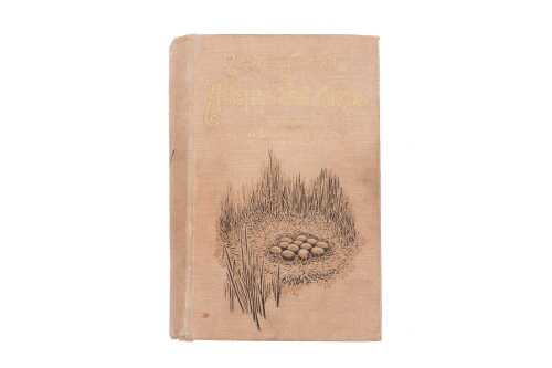 Nests and Eggs of Australian Birds by A.J. Campbell , printed 1900