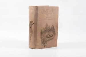 Nests and Eggs of Australian Birds by A.J. Campbell , printed 1900 - 2