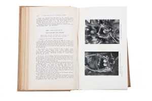 Nests and Eggs of Australian Birds by A.J. Campbell , printed 1900 - 4
