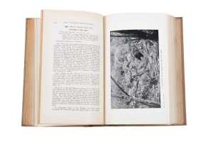 Nests and Eggs of Australian Birds by A.J. Campbell , printed 1900 - 5