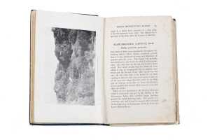 The Birds of the District of Geelong, Australia, by Charles F. Belcher - 4