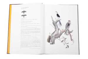 Birds of Prey of Australia large format leather bound book, limited edition and signed - 2