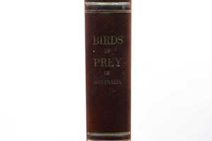Birds of Prey of Australia large format leather bound book, limited edition and signed - 5