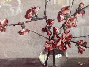 Allan Thomas Bernaldo (1900-1988) still life of red flower buds. Watercolour painting on paper