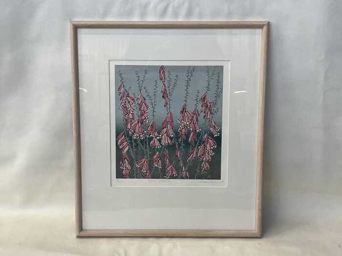 Aileen Brown (1946-), Pink Heath, 1990, 12/50. Lioncut print on paper
